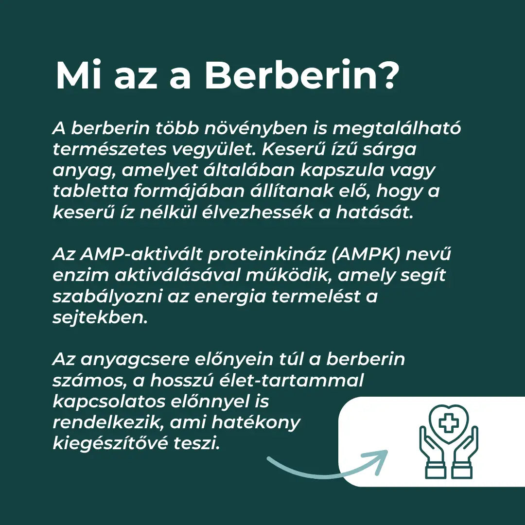 berberin vélemények
