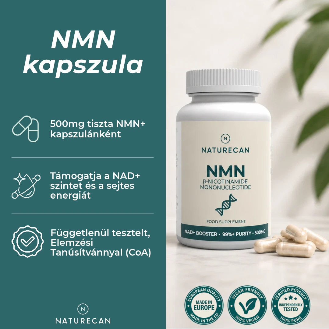nmn kapszula hatása