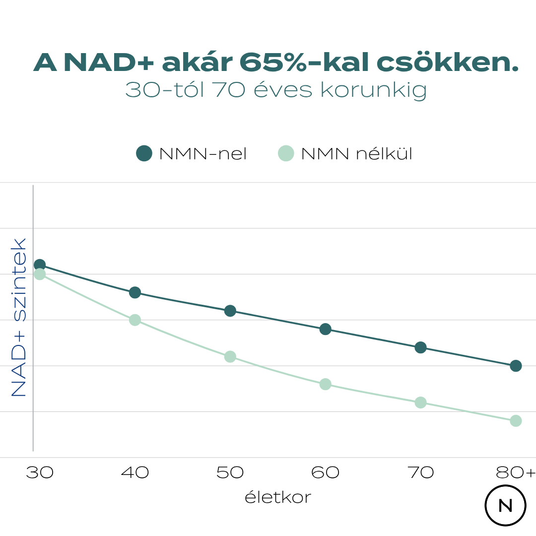 NMN szintek