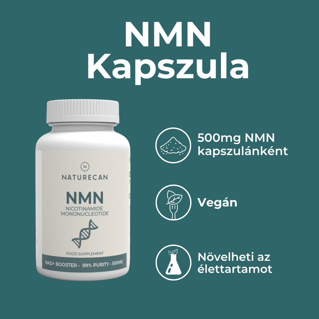 nmn supplement