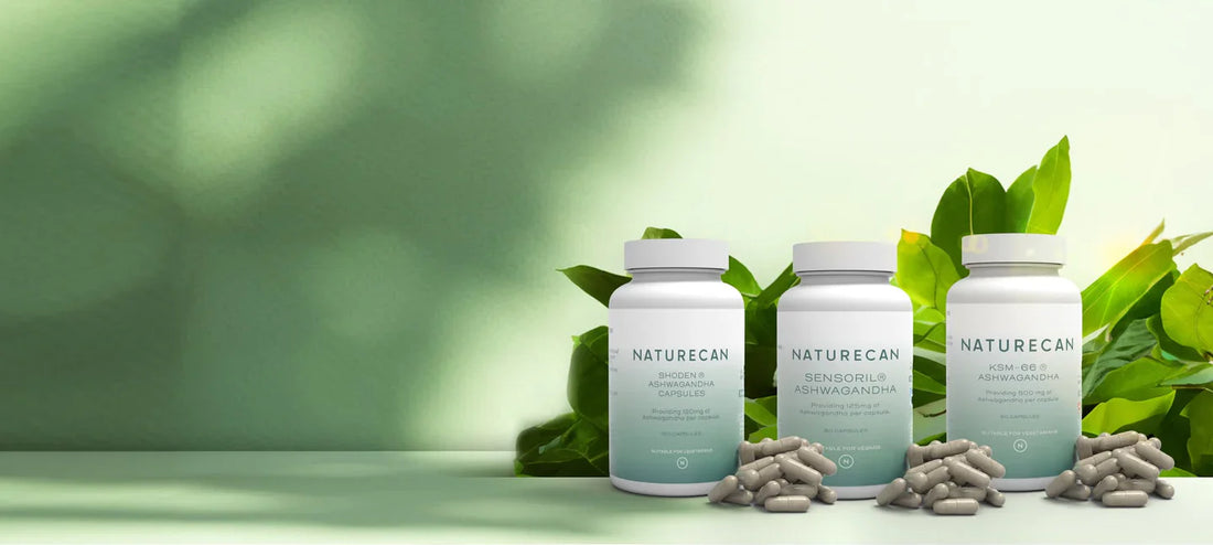 Ashwagandha útmutató - hatása, adagolása és vélemények