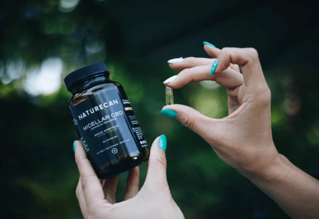 cbd hozzáférhetősége