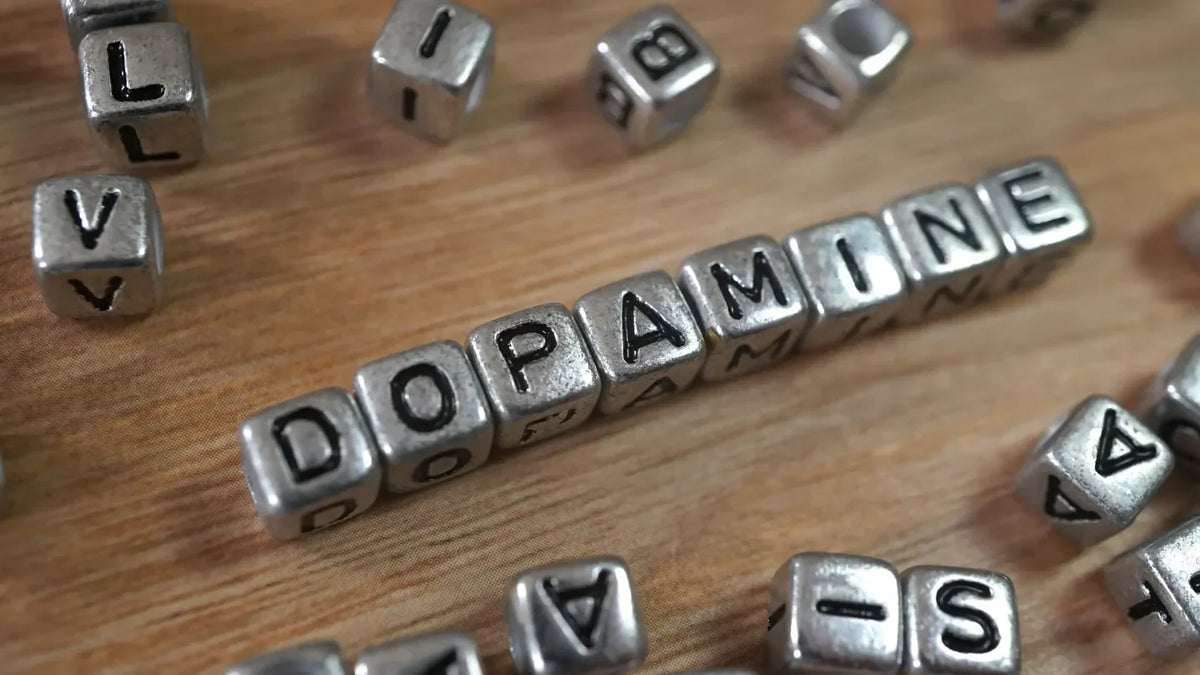 10 természetes módszer a dopamin növelésére