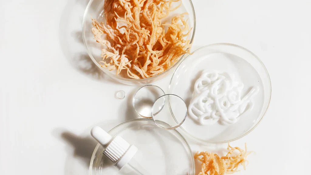 sea moss tengeri moha hatása