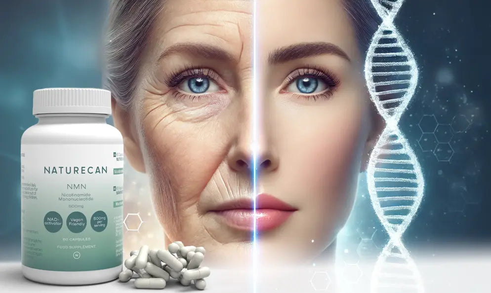 nmn kapszula hatása