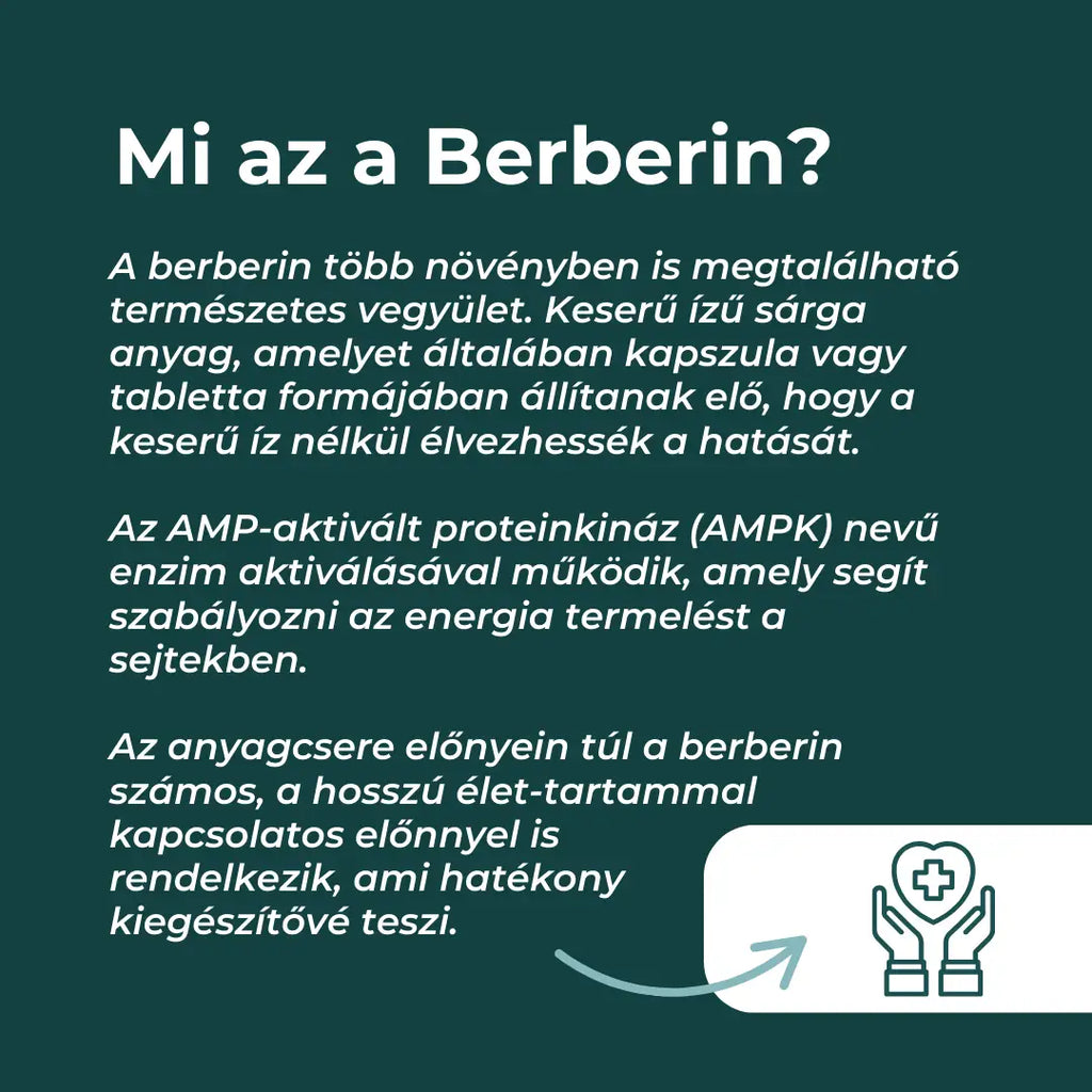 berberin vélemények