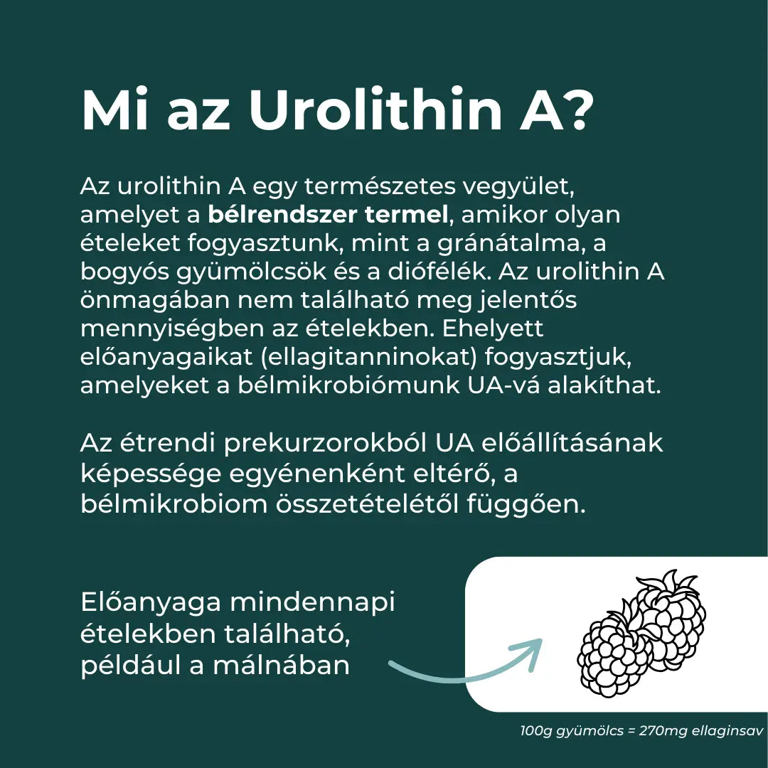 mire jó az urolithin a