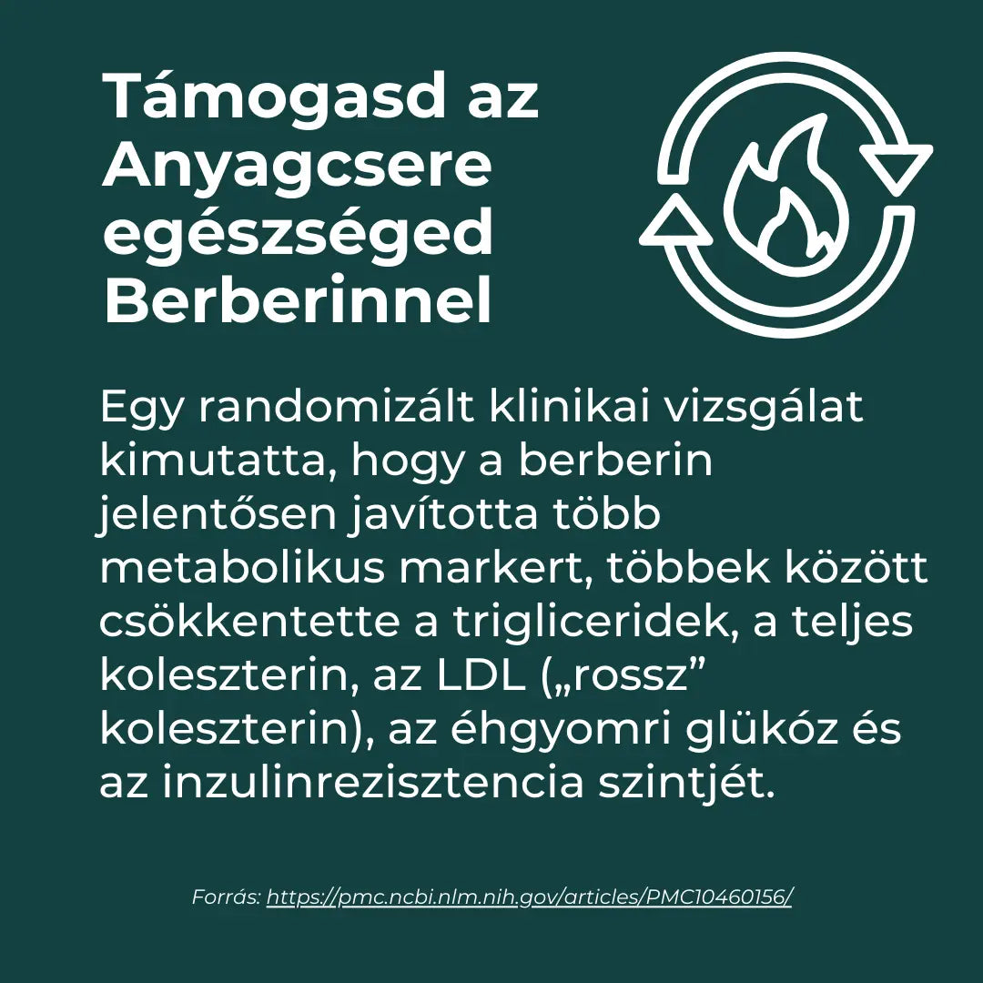 legjobb berberine kapszula