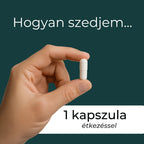 alfa gpc vélemények