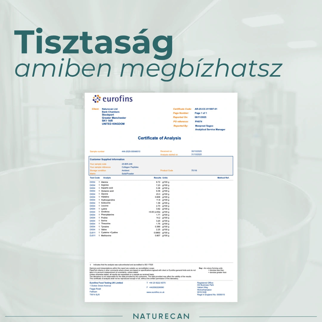 kollagén izületre