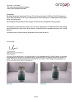 berberine kiegészítő