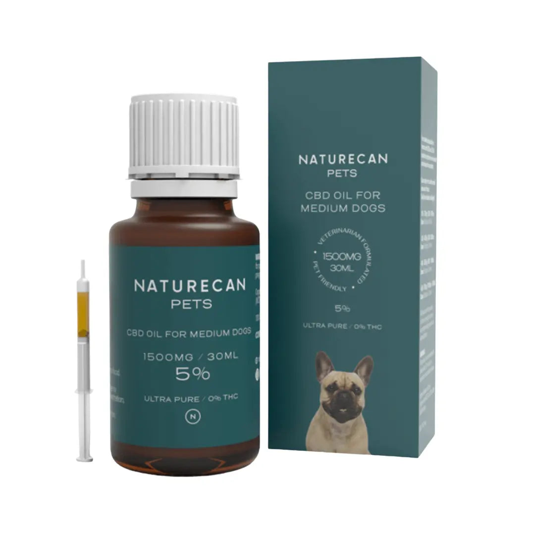 cbd kutyáknak nagy