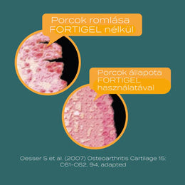 fortigel hatása