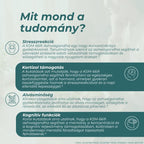 ashwagandha kapszula