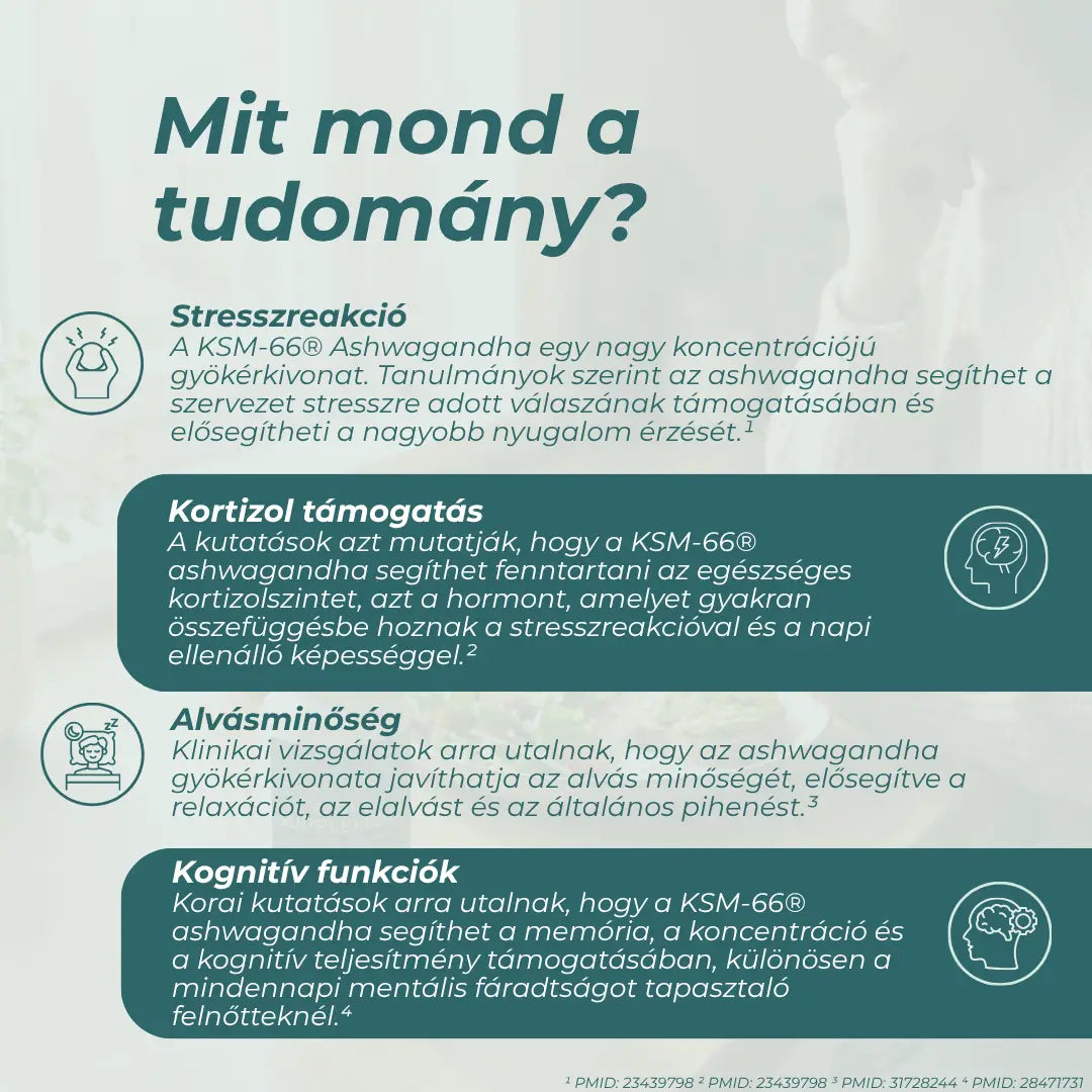 ashwagandha kapszula