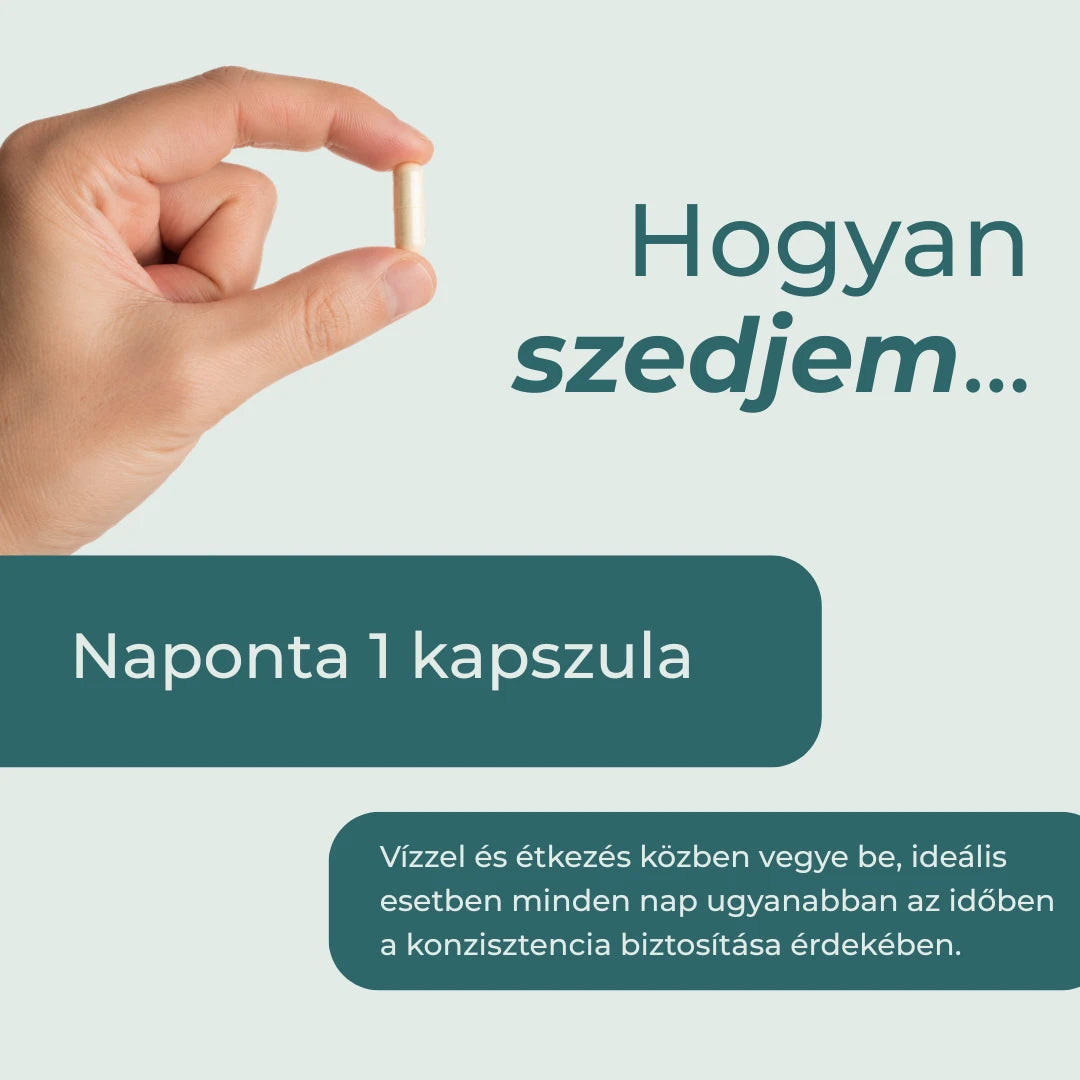 rezveratrol por