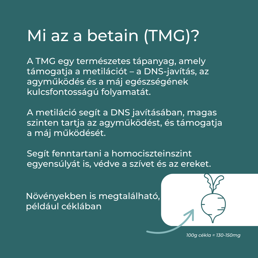 tmg hatása