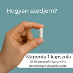 dao enzim kapszula