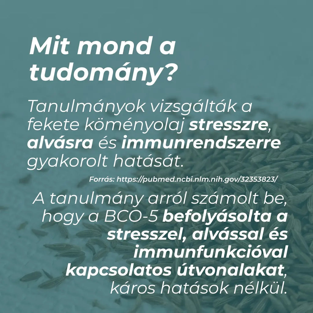 fekete köménymag olaj hatása