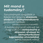 fekete köménymag olaj hatása