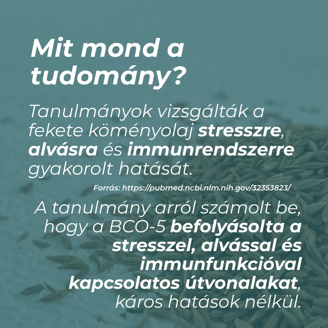 fekete köménymag olaj hatása