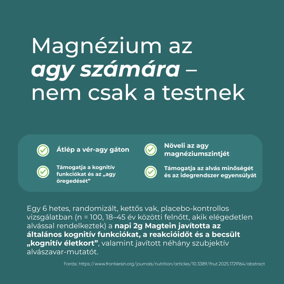magnézium l treonát hatása