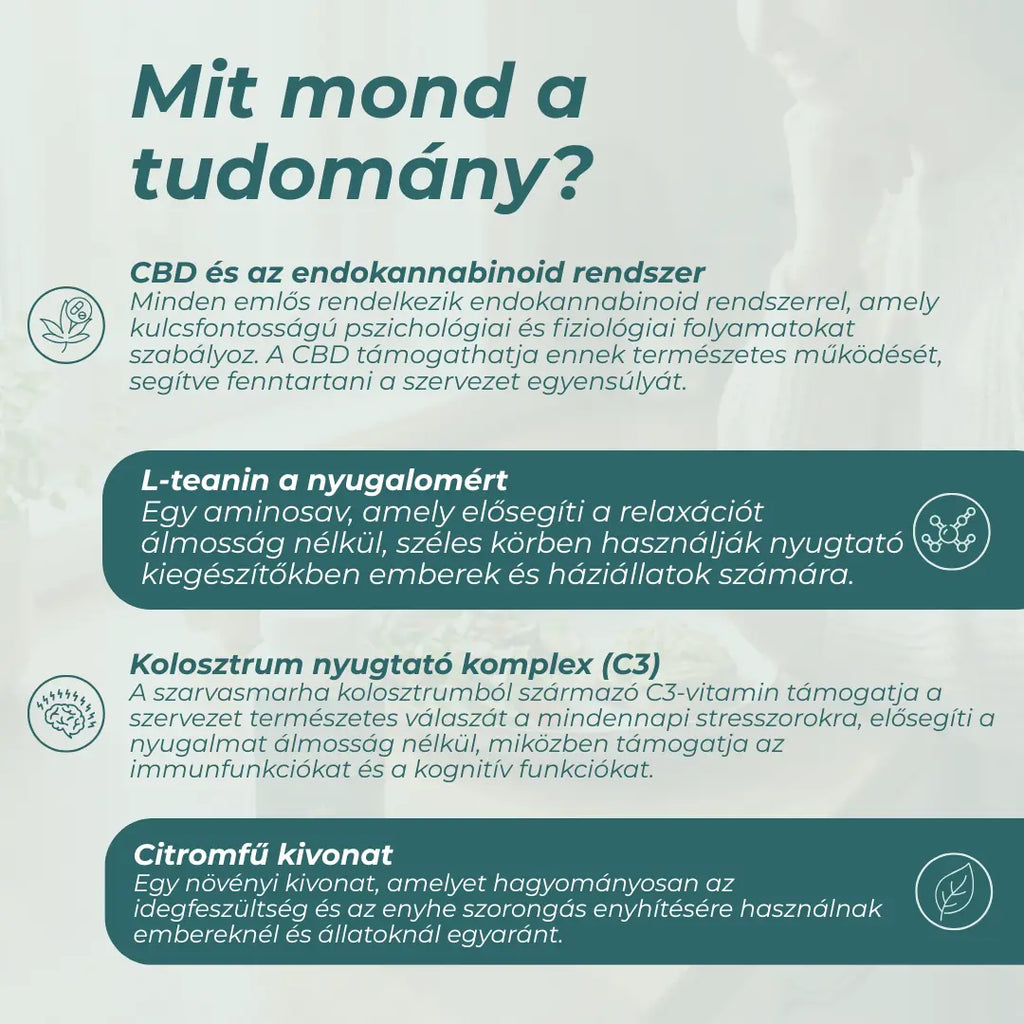 kutya nyugtató gyógyszer