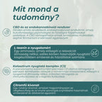 kutya nyugtató gyógyszer