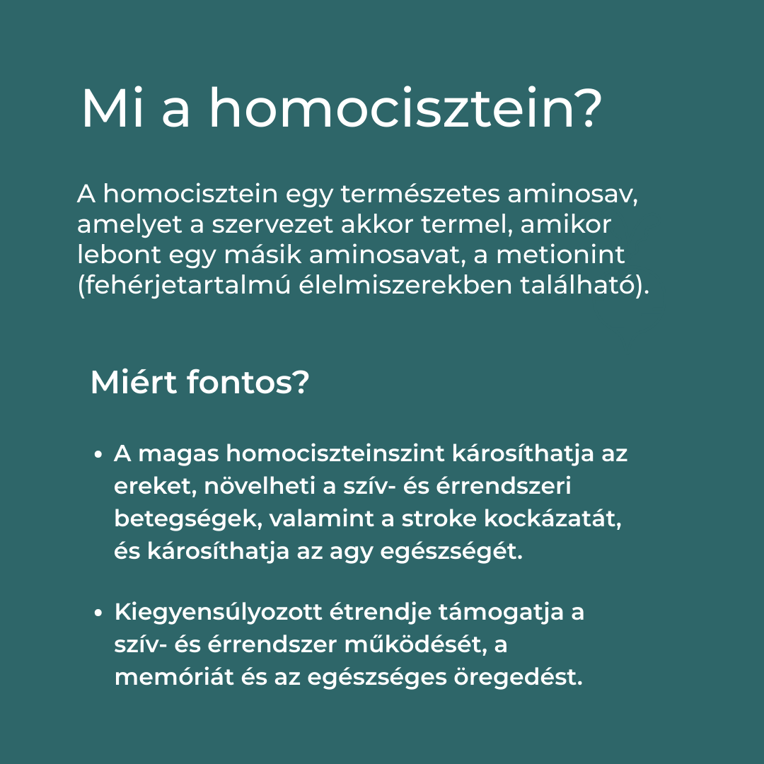 betain hatása