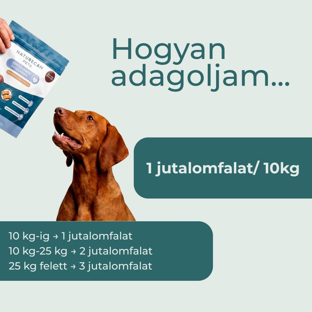 citromfű kutyáknak