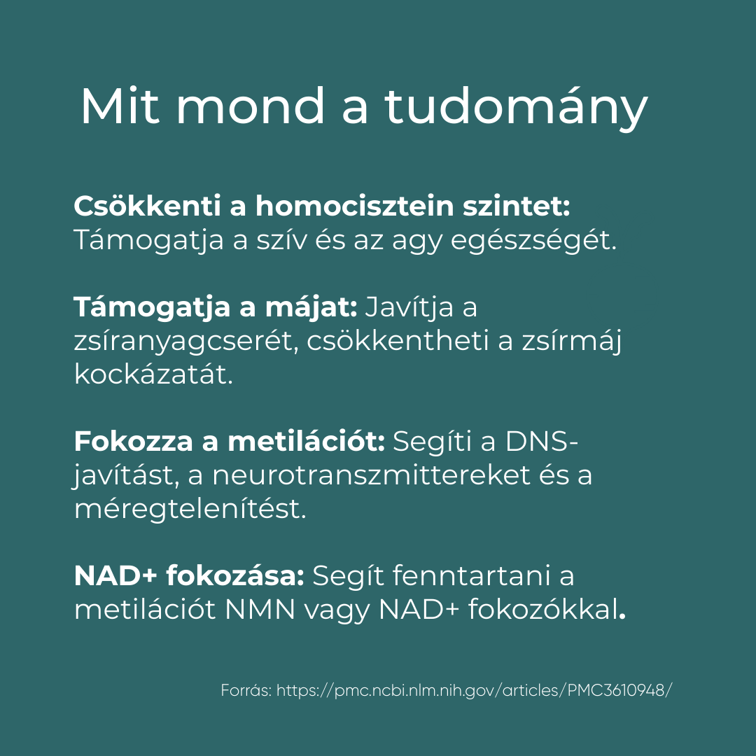 tmg vélemények