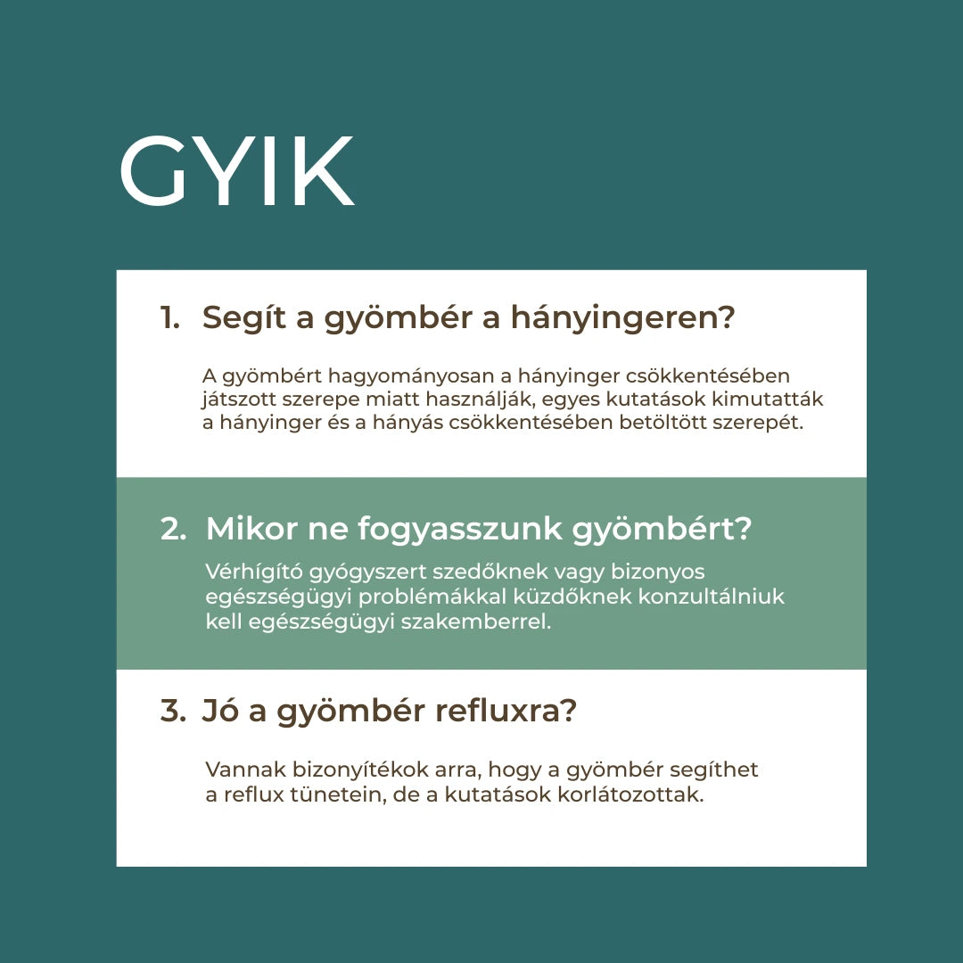 gyömbér gyik