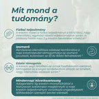 kreatin monohidrát hatása