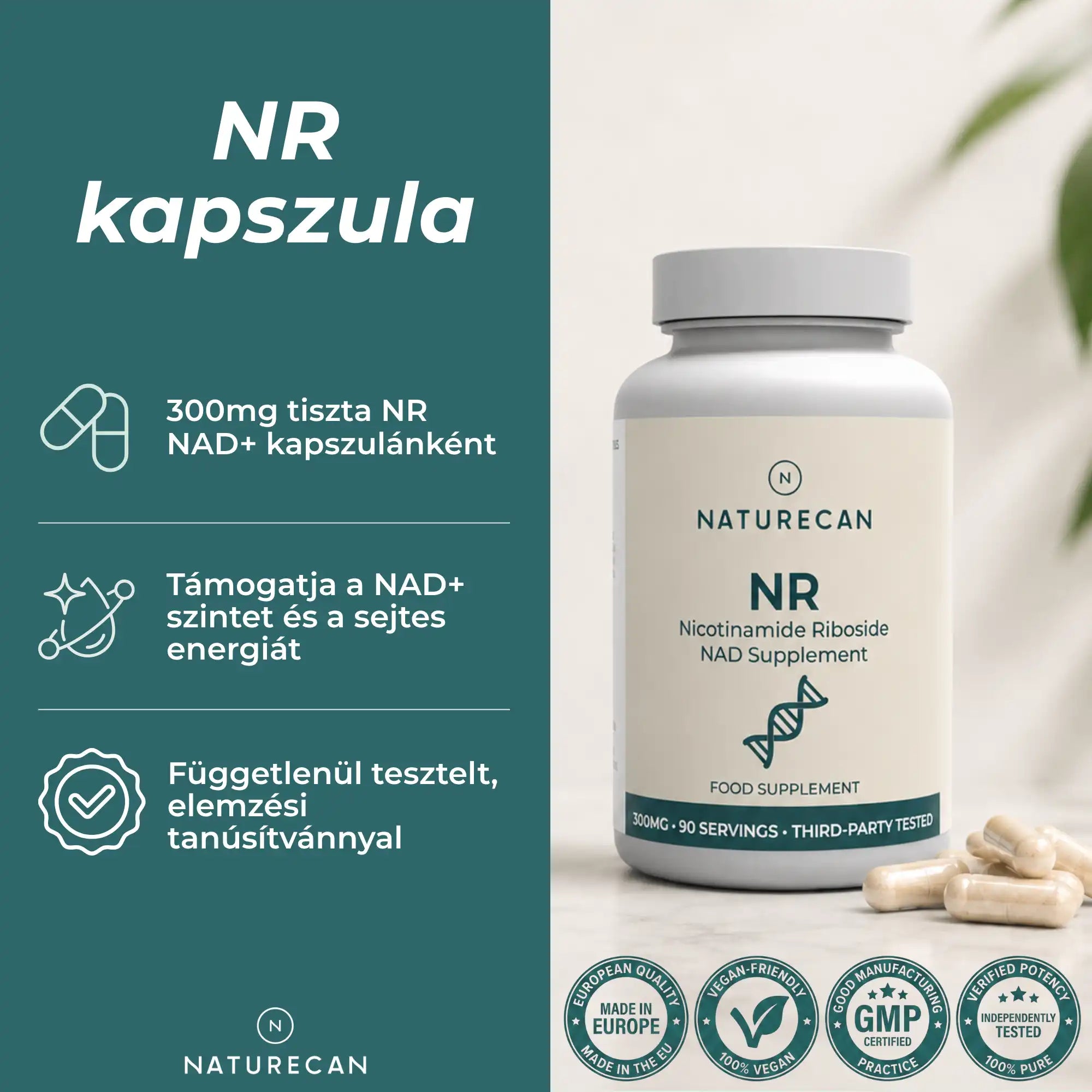 nad+ hatása