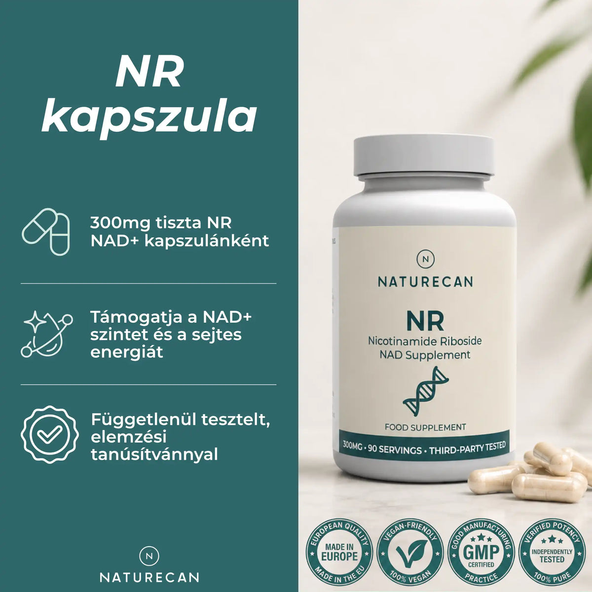 nad+ hatása