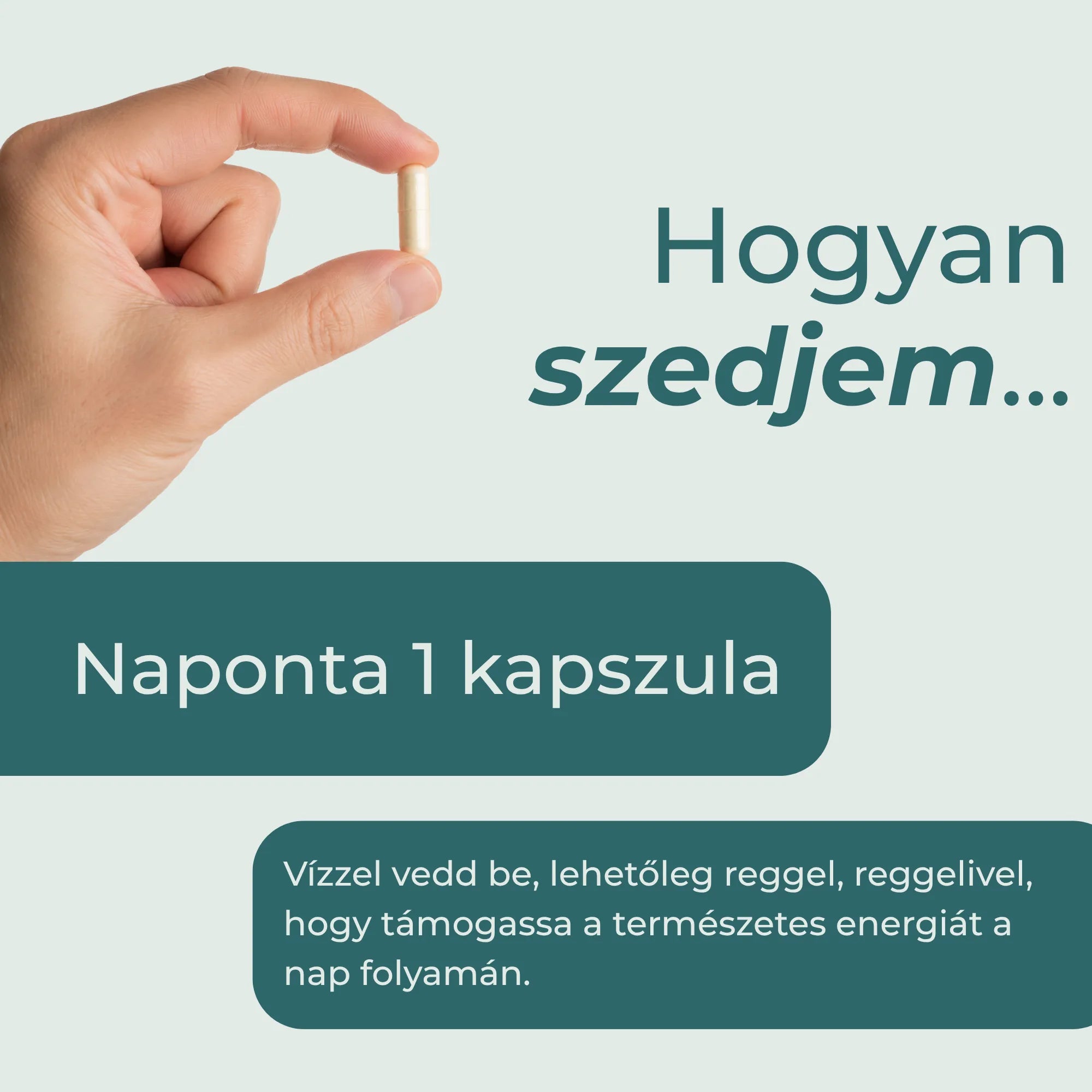 nr kapszula szedése