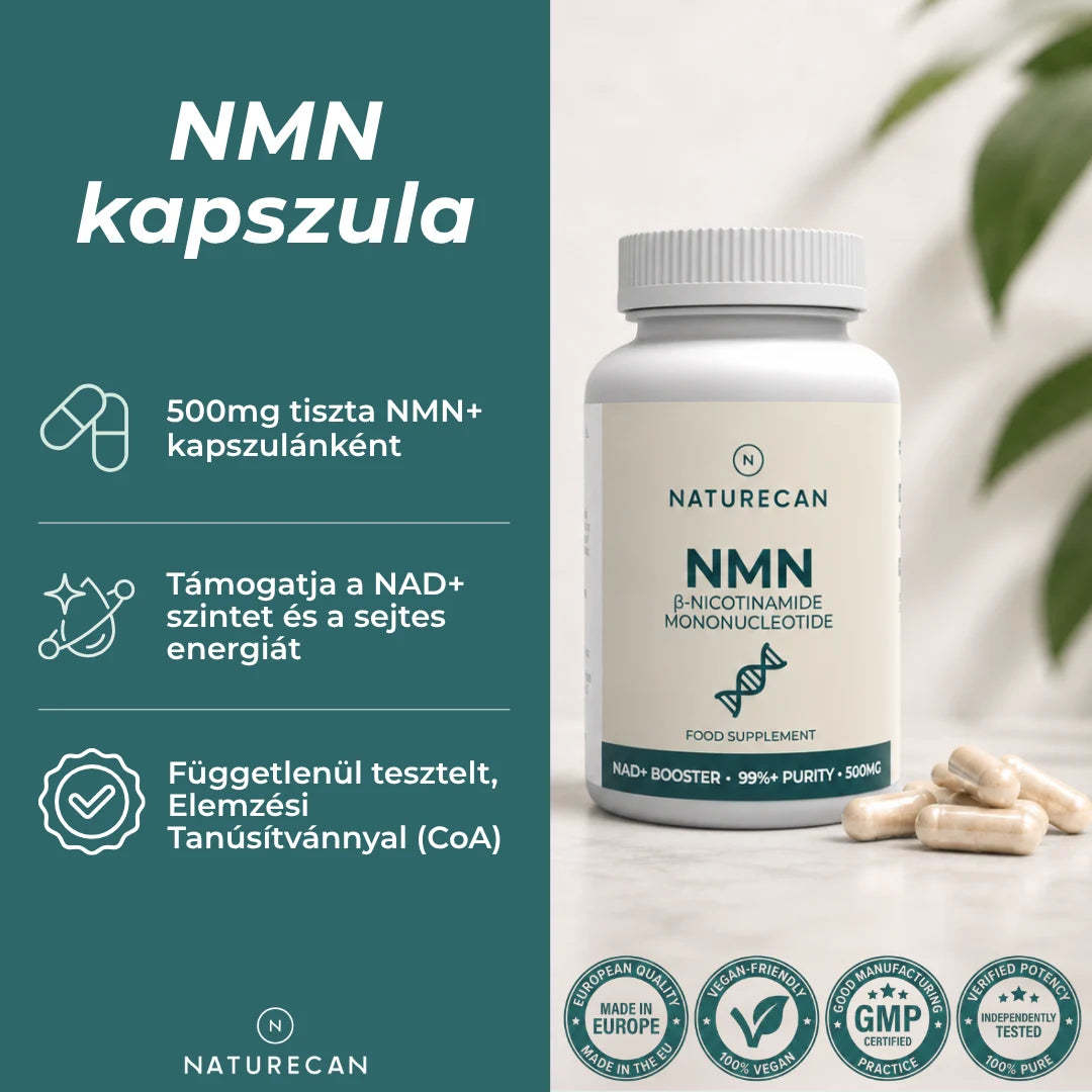 nmn kapszula hatása