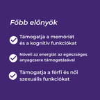 shilajit kapszula hatása