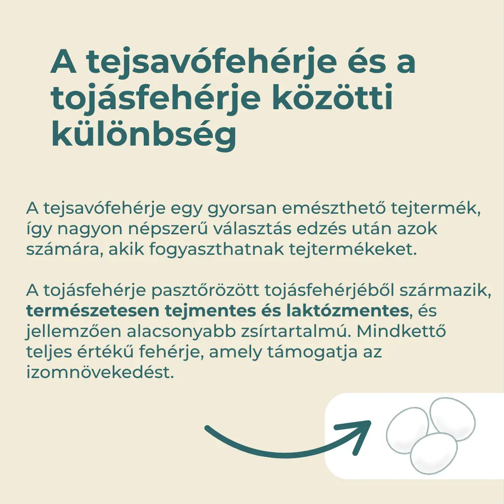 tojásfehérje por dm