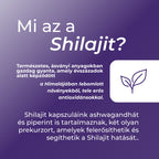 shilajit tabletta