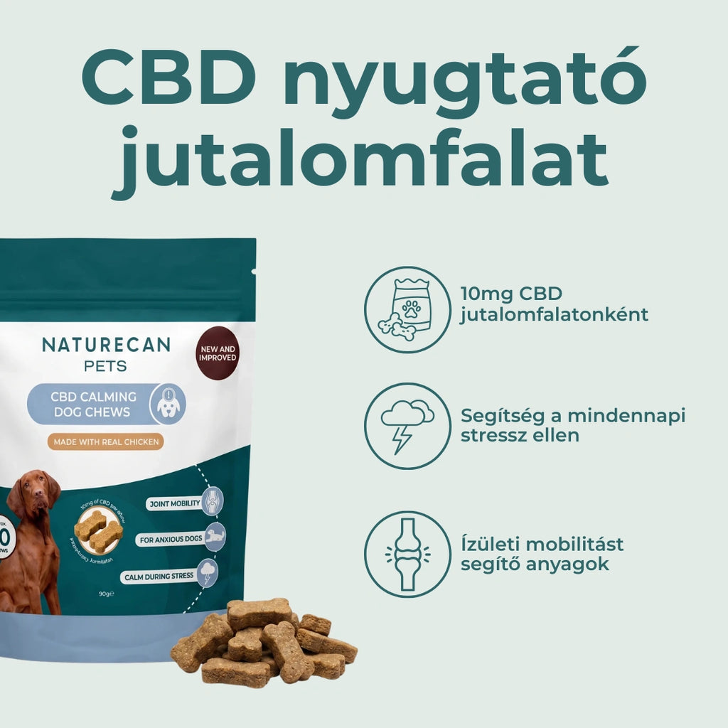 kutya nyugtató