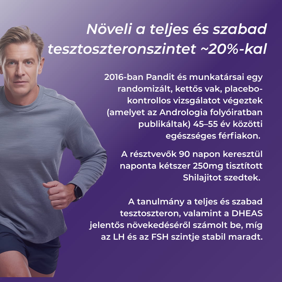 shilajit tesztoszteron