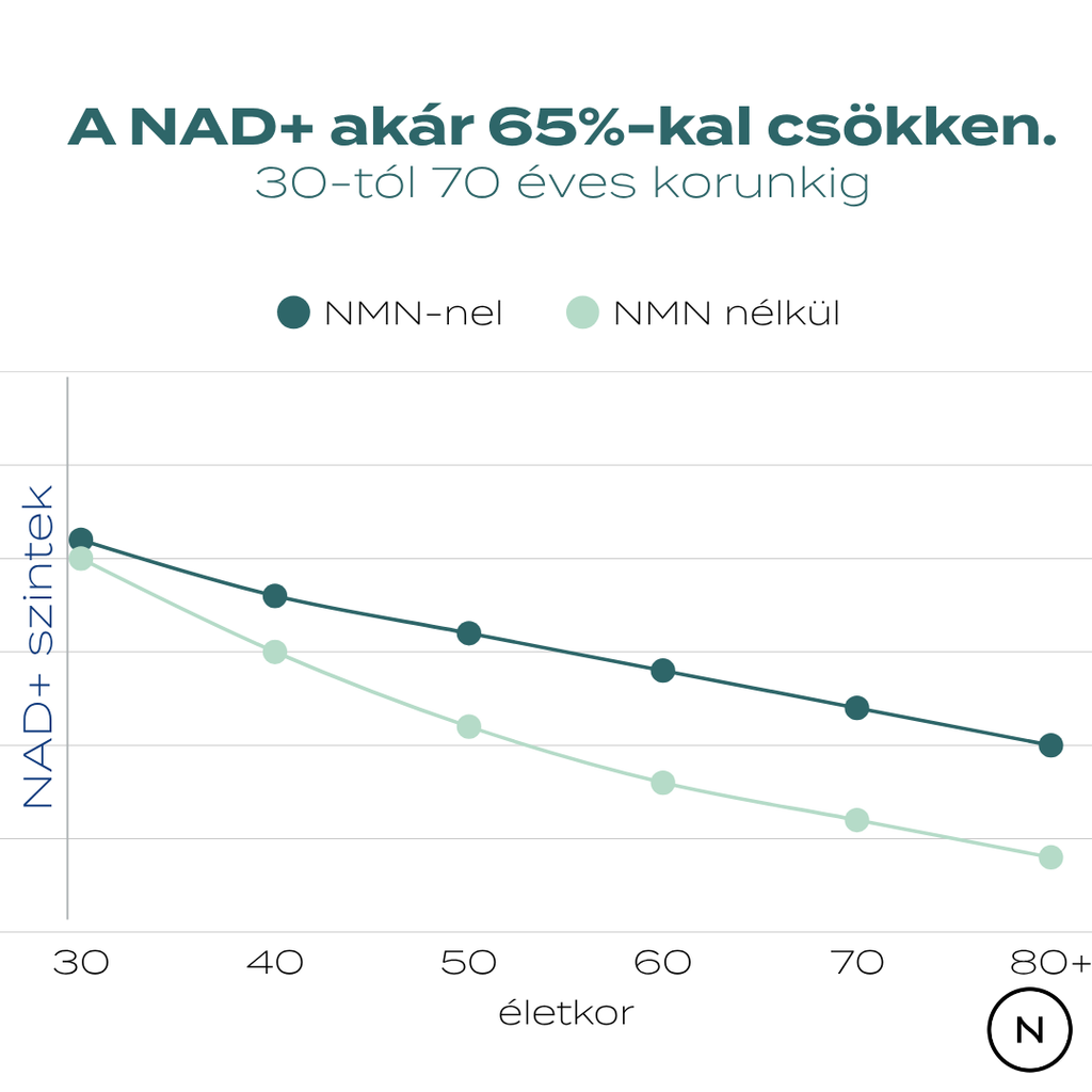 NMN szintek