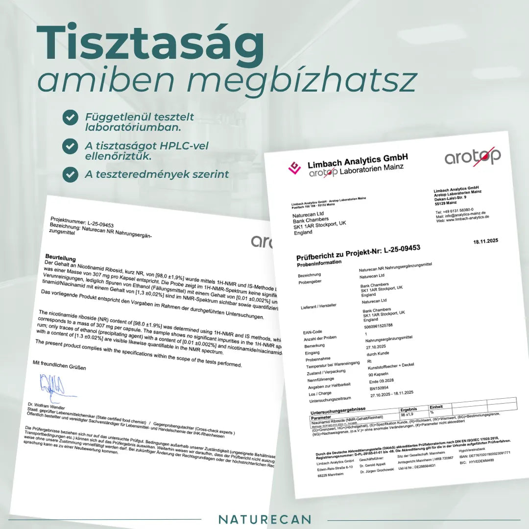 tiszta nmn