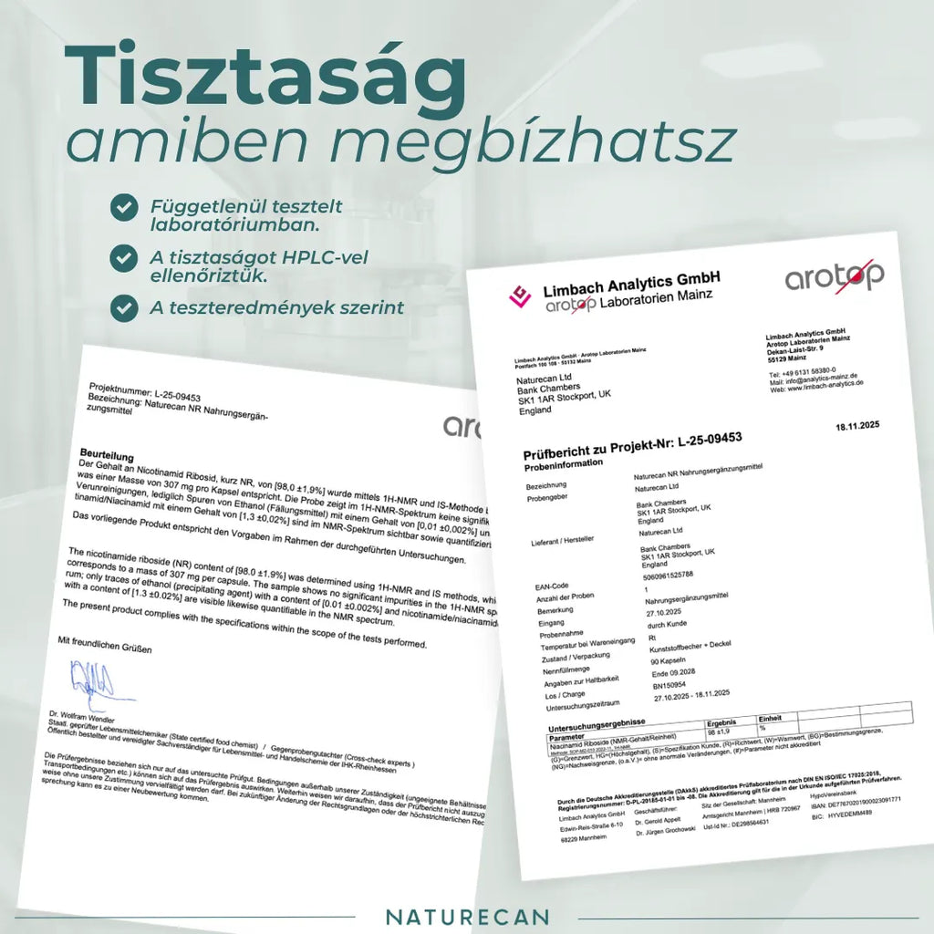 tiszta nmn