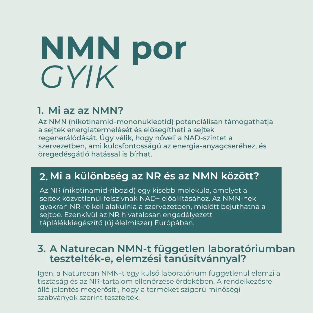 nmn por gyik