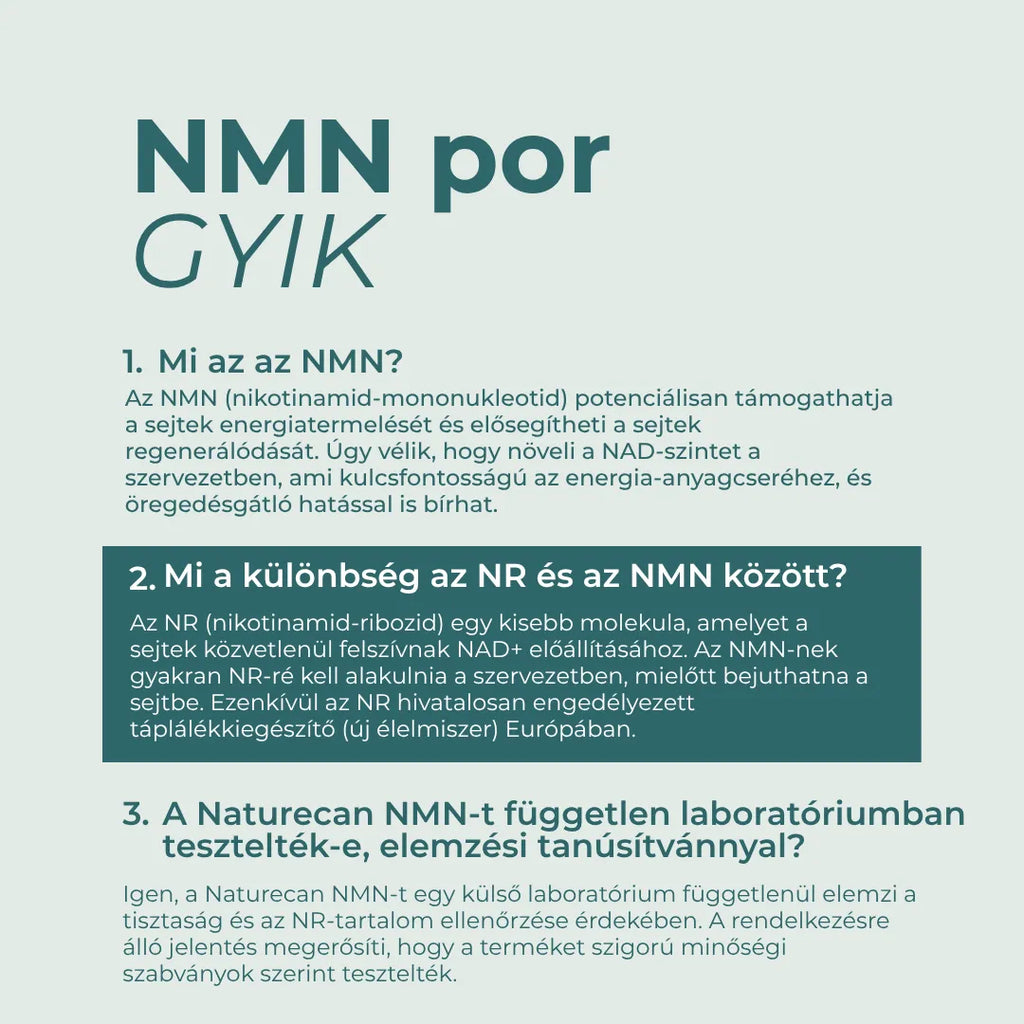 nmn por gyik