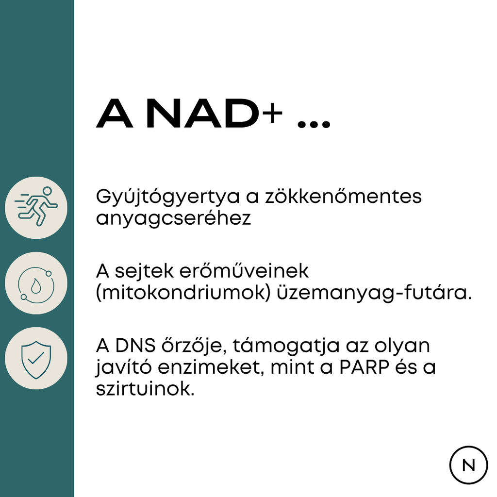 nad+ vélemények