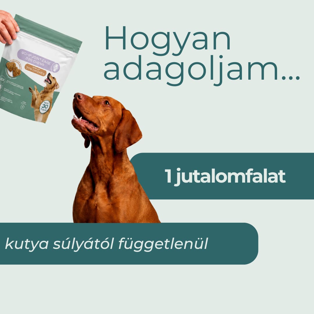 UC-II® Kollagénes Ízületi Jutalomfalat
