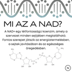 nad vitamin